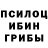Псилоцибиновые грибы Psilocybine cubensis Abhijith Shaji
